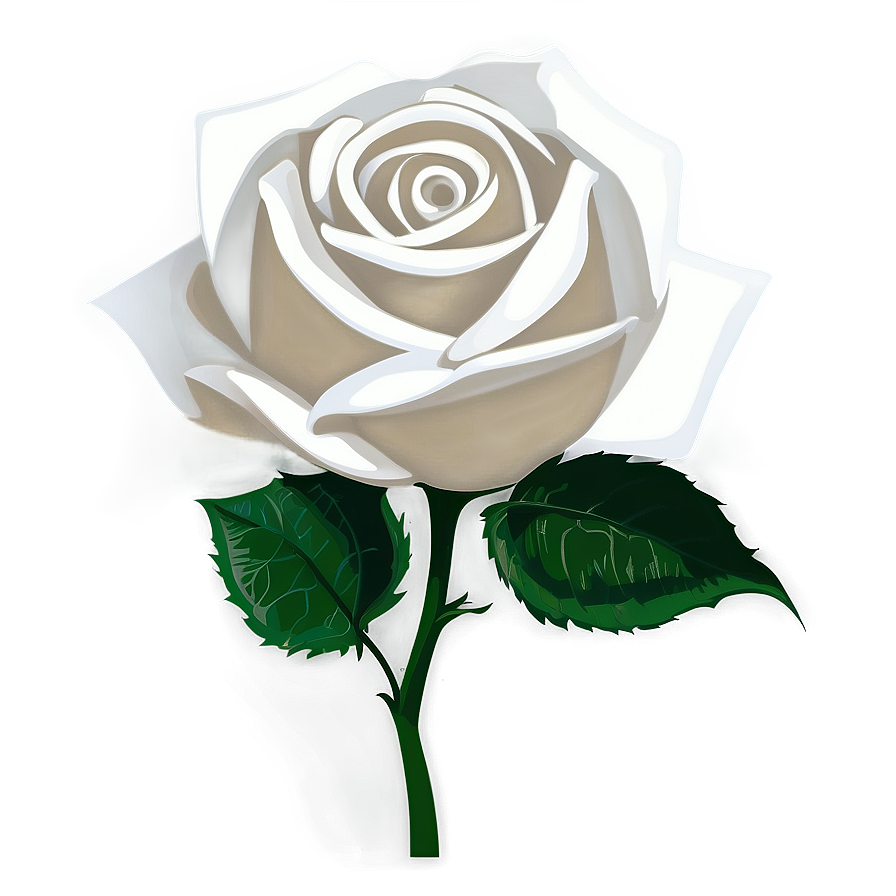 White Rose Clipart Png 21 PNG Image