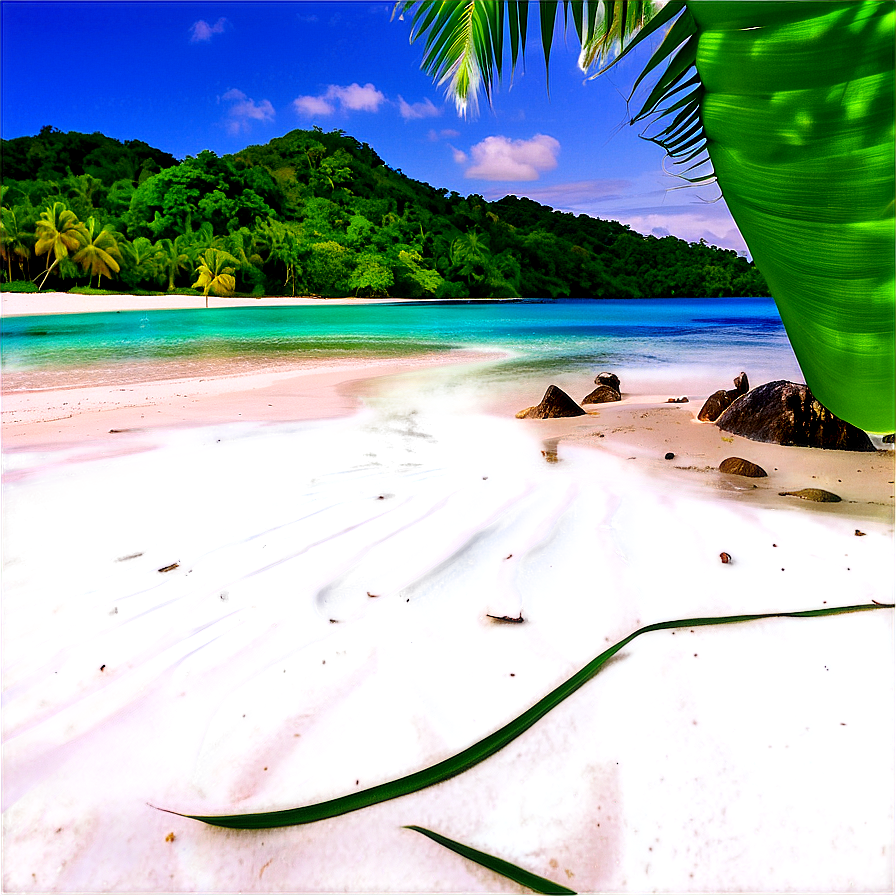 White Sandy Beach Paradise Png 83 PNG Image