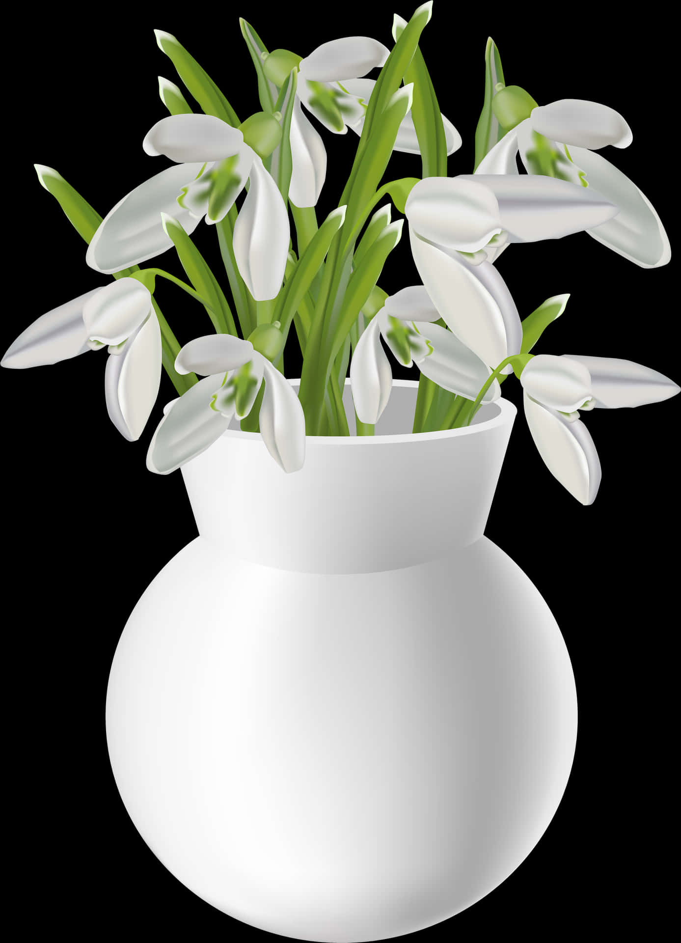 White Snowdropsin Vase Illustration PNG Image