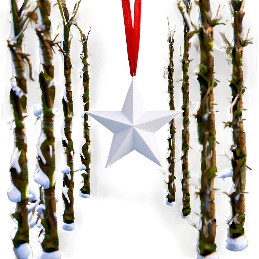 White Star C PNG Image