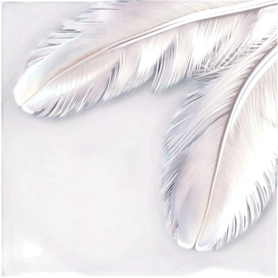 White Swan Feather Png 05042024 PNG Image