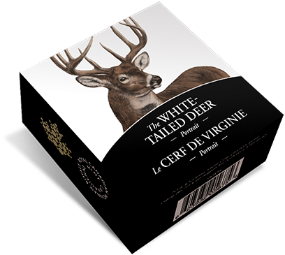 White Tailed Deer Portrait Box PNG Image