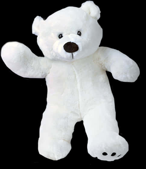 White Teddy Bear Black Background PNG Image