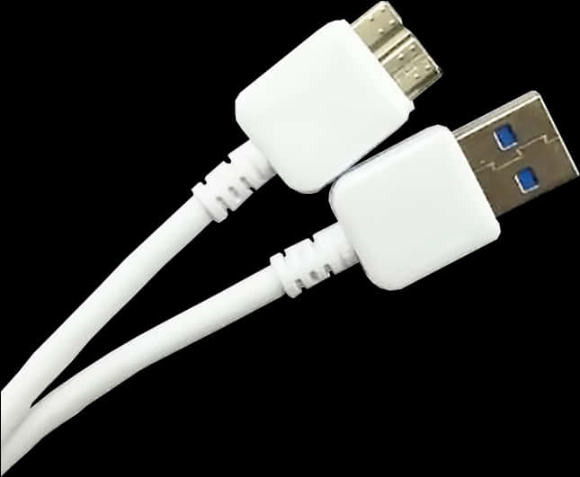 White U S B Cablewith Adapter Blocks PNG Image