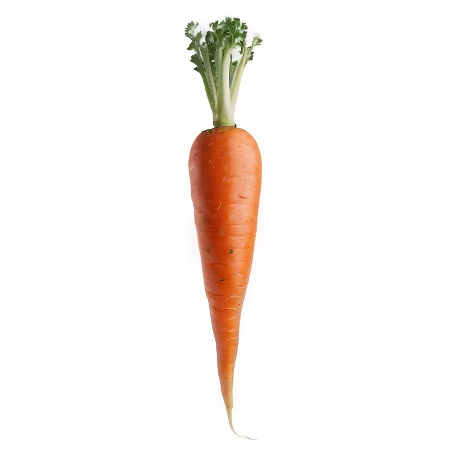 Whole Carrot Png 05242024 PNG Image