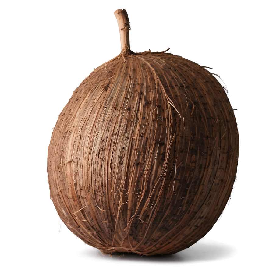 Whole Coconut Png Ugf23 PNG Image