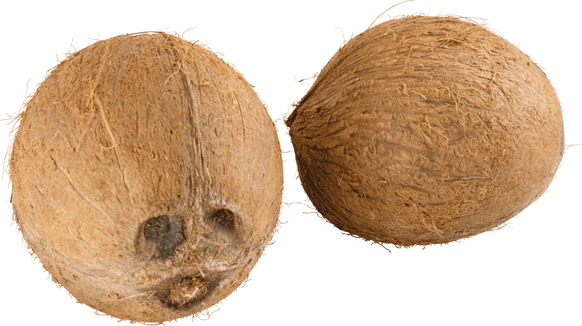 Whole Coconuts Isolatedon Background PNG Image