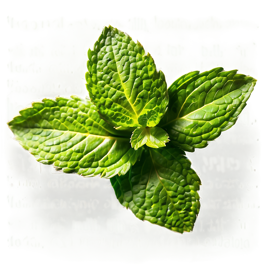 Whole Mint Leaves Png 06262024 PNG Image