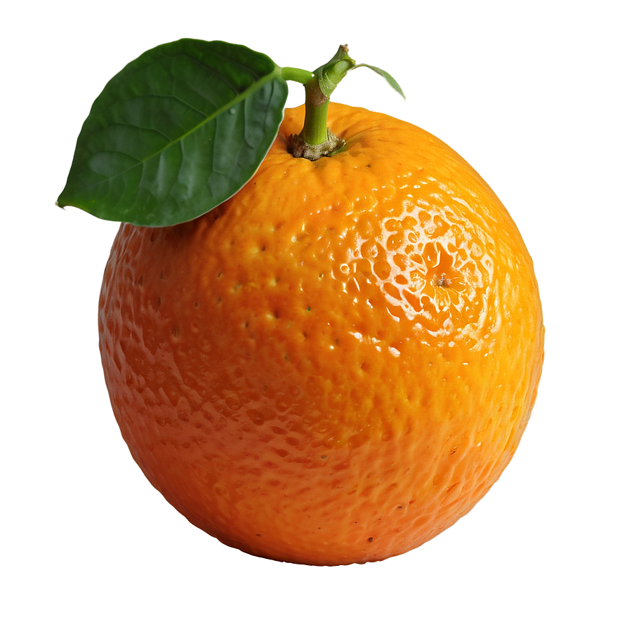 Whole Orange Png 85 PNG Image