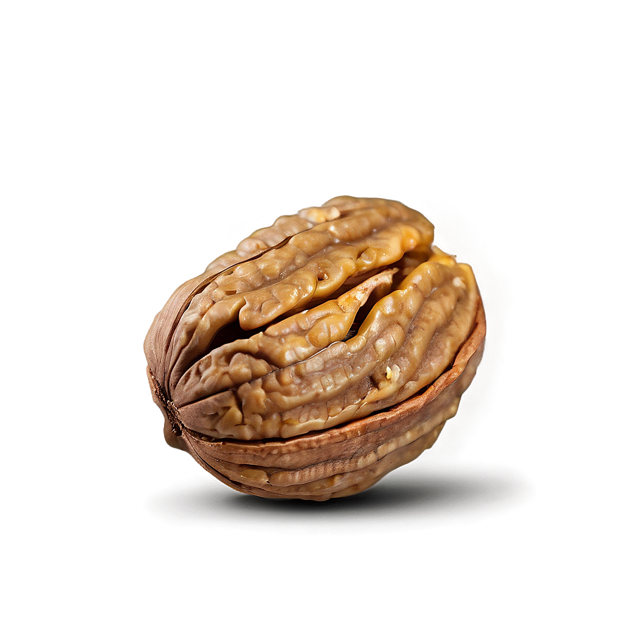 Whole Walnut Png 06122024 PNG Image