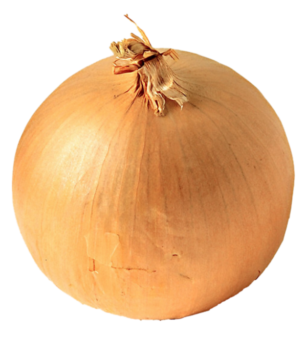 Whole Yellow Onion PNG Image