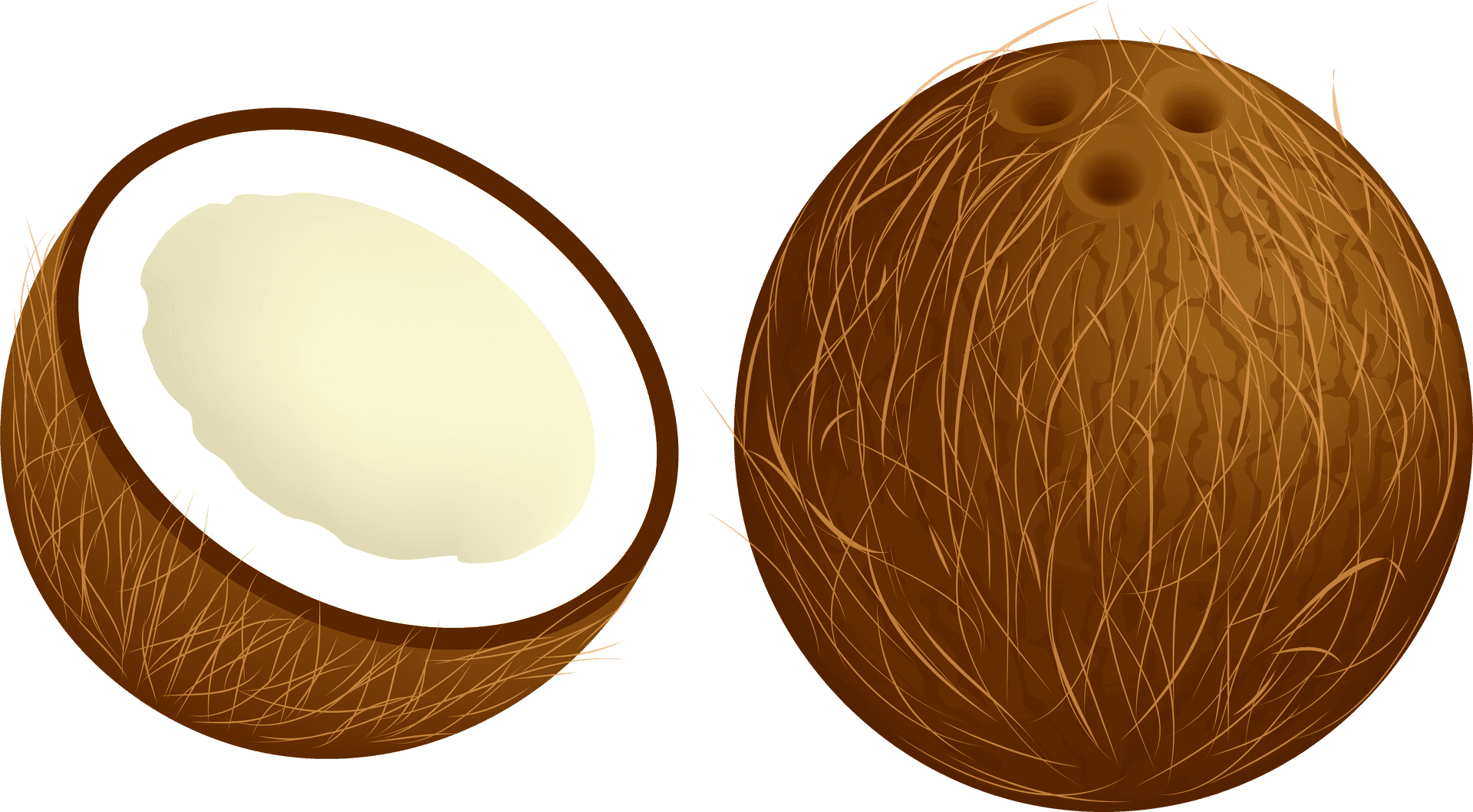 Wholeand Half Coconut Illustration PNG Image