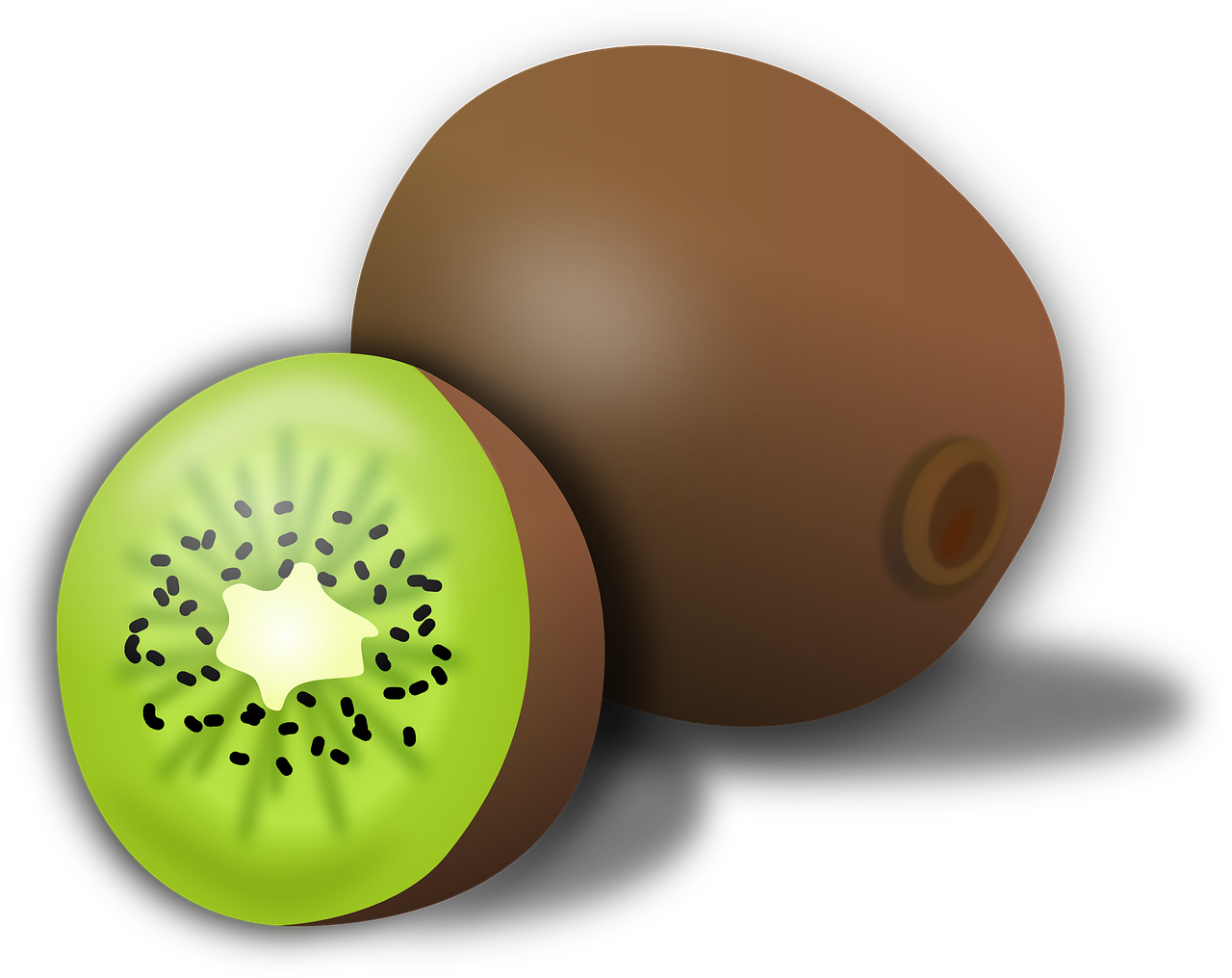 Wholeand Half Kiwi Fruit Illustration PNG Image