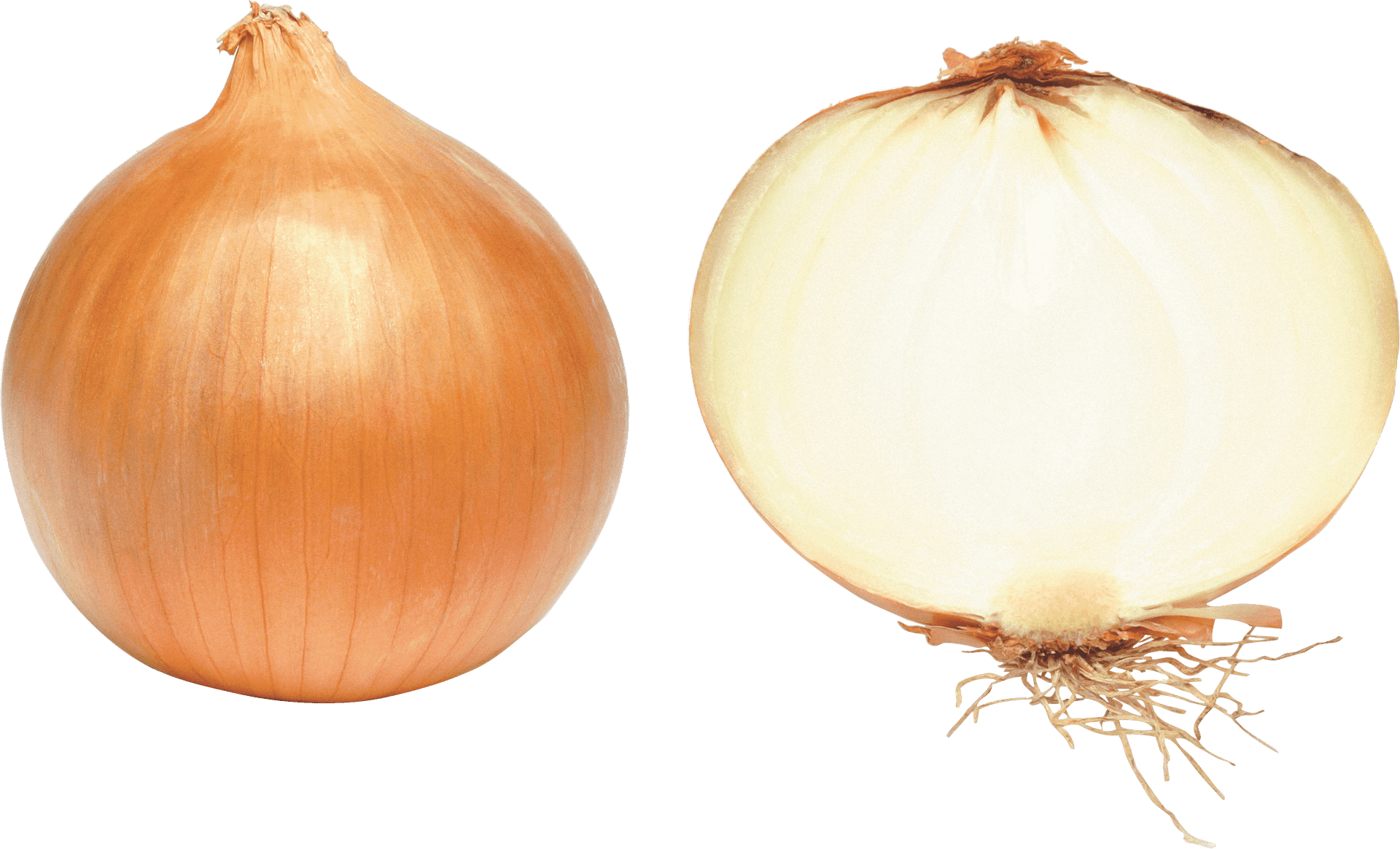 Wholeand Half Onion PNG Image