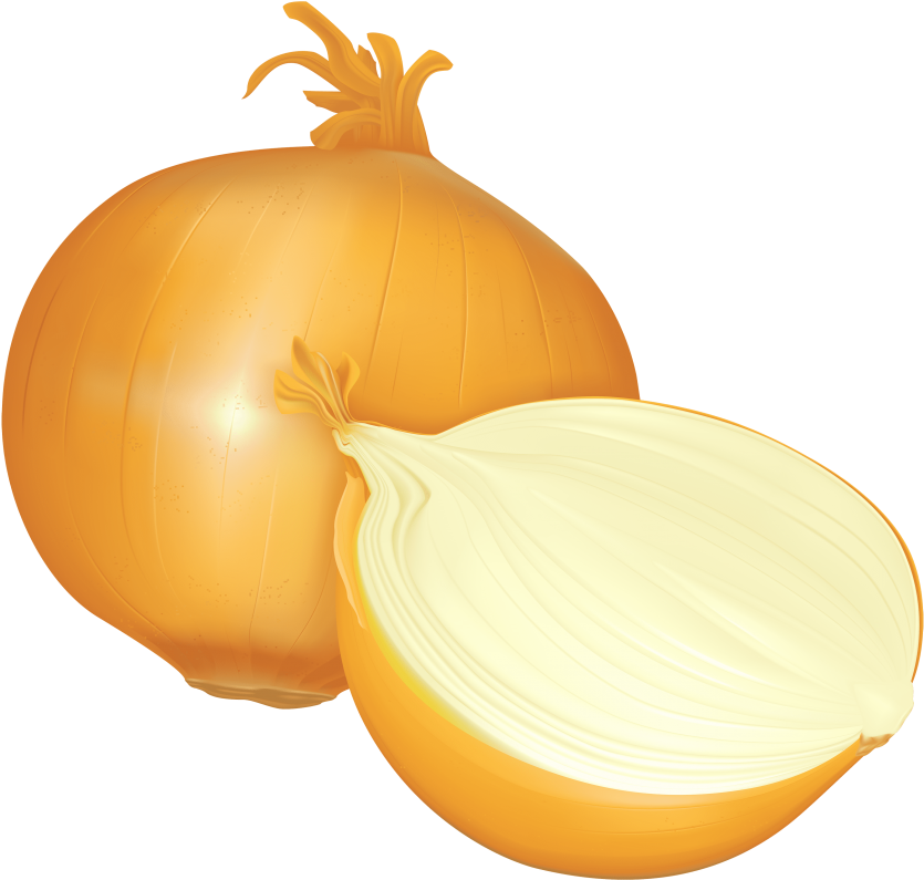 Wholeand Half Onion Illustration PNG Image