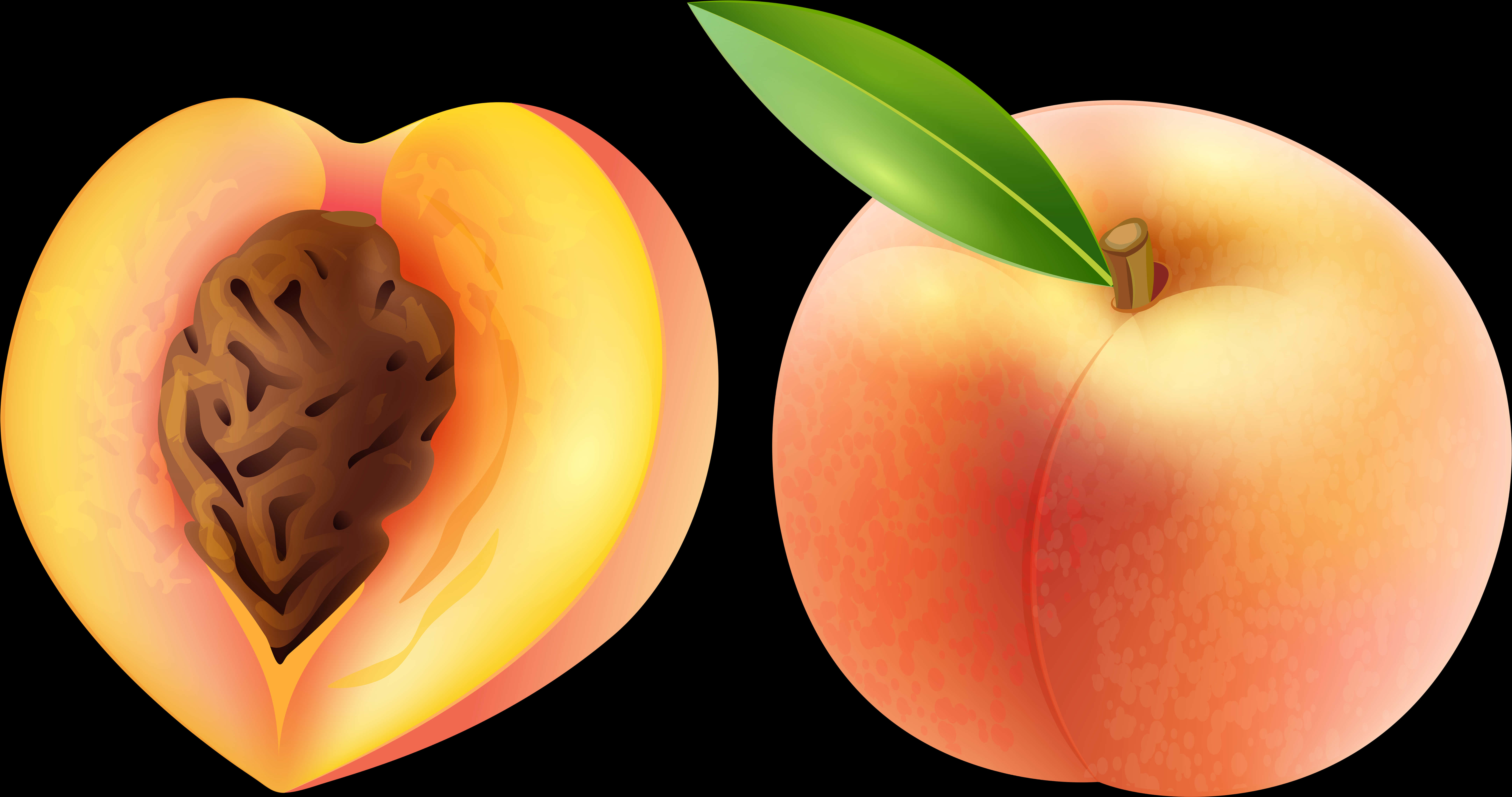 Wholeand Half Peach Illustration PNG Image