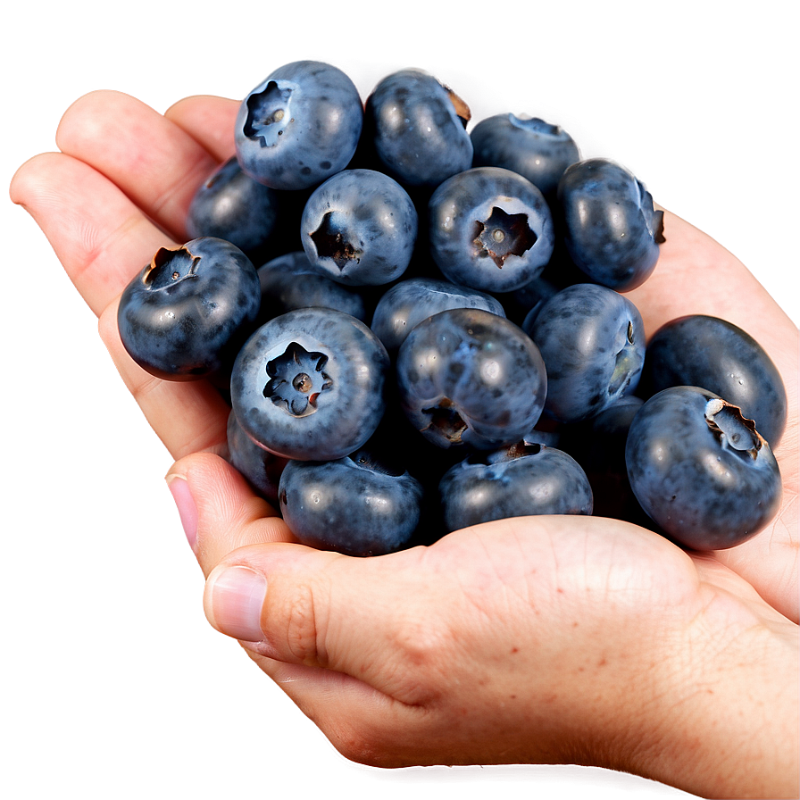 Wholesome Blueberry Handful Png Fdr61 PNG Image