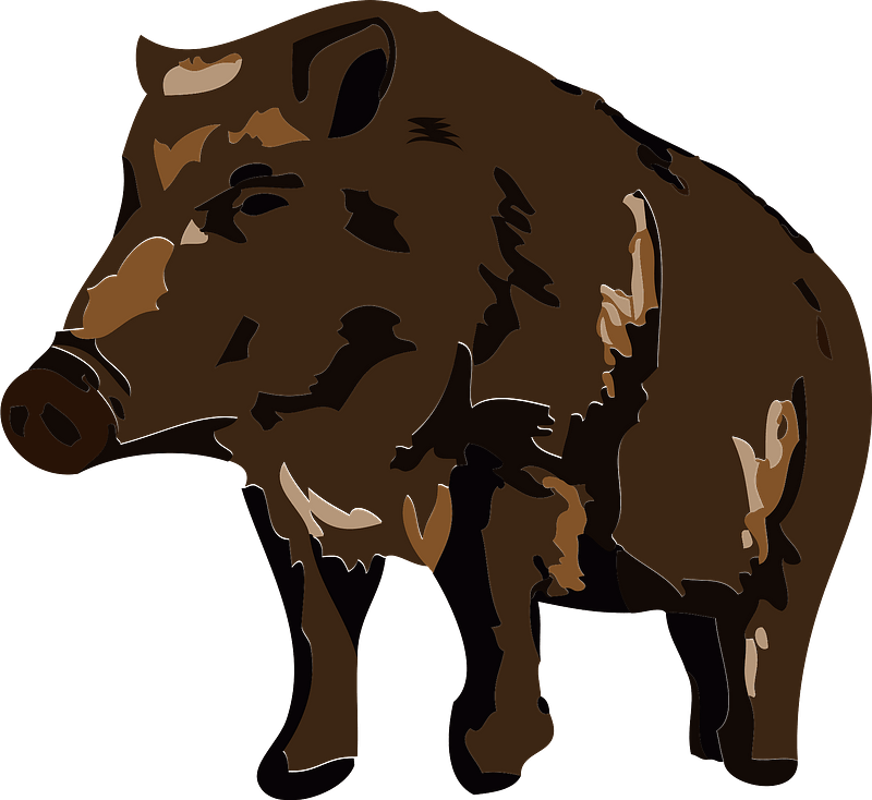 Wild Boar Illustration PNG Image