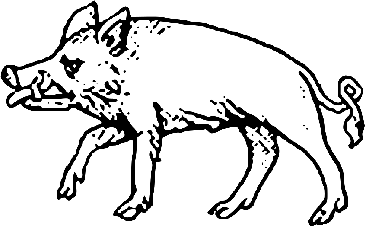 Wild Boar Illustration PNG Image