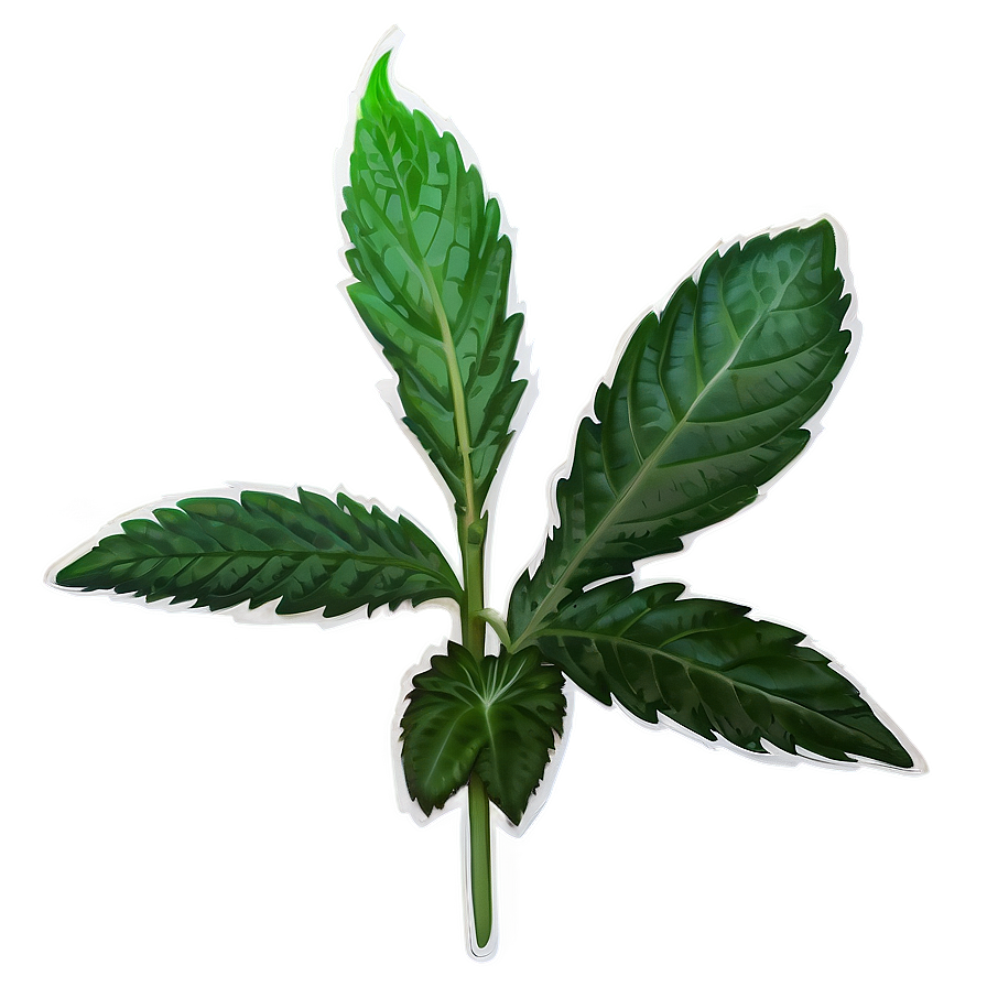 Wild Herb Png Fgn16 PNG Image