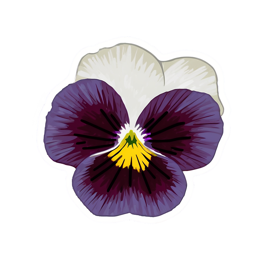 Wild Pansy Png Mdp50 PNG Image