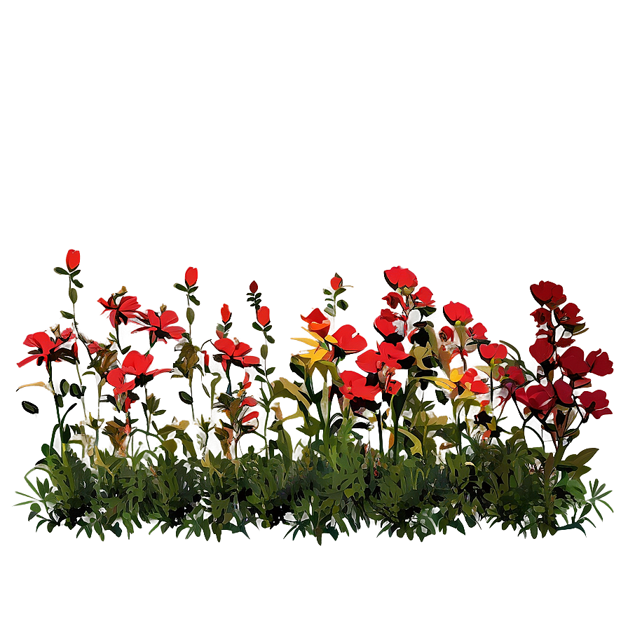 Wild Red Flowers Meadow Png Ijf24 PNG Image