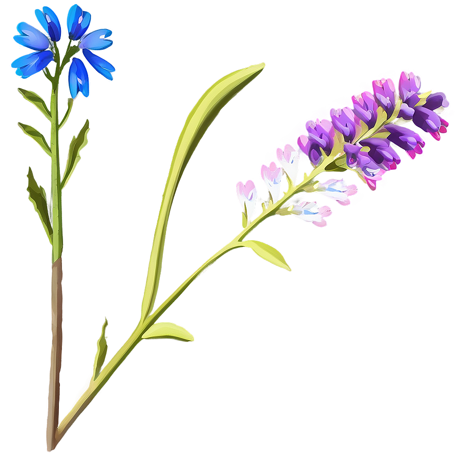 Wildflower Stem Png Uts21 PNG Image