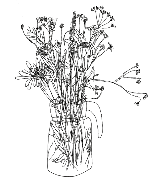 Wildflowers_ Sketch_in_ Vase PNG Image