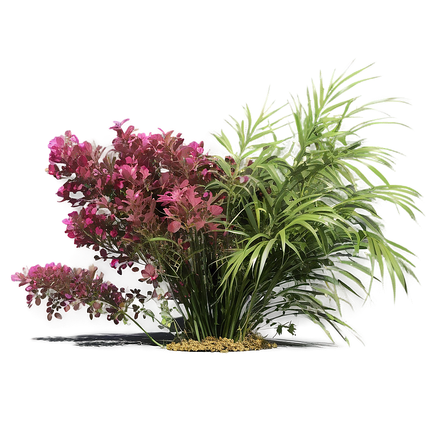 Wind-swept Bush Png Gdj58 PNG Image