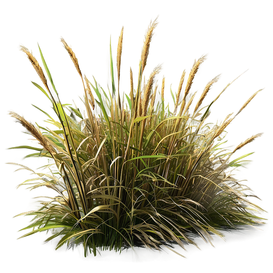 Windblown Grass Field Png 33 PNG Image