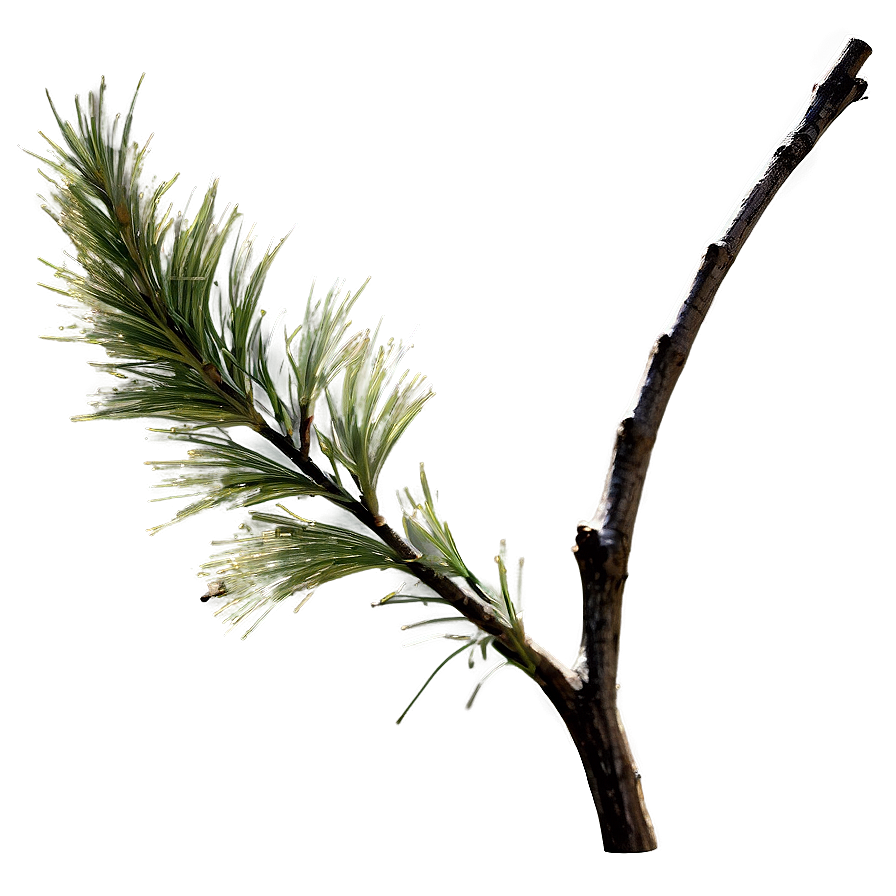 Windblown Twig Png Jap PNG Image