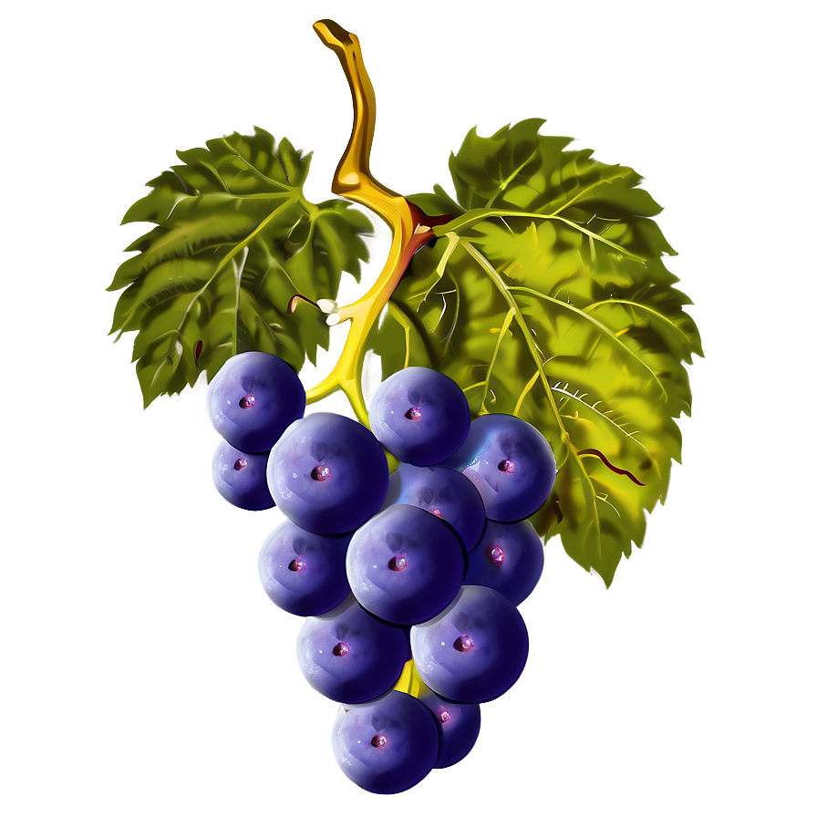 Wine Grape Png Xpe PNG Image