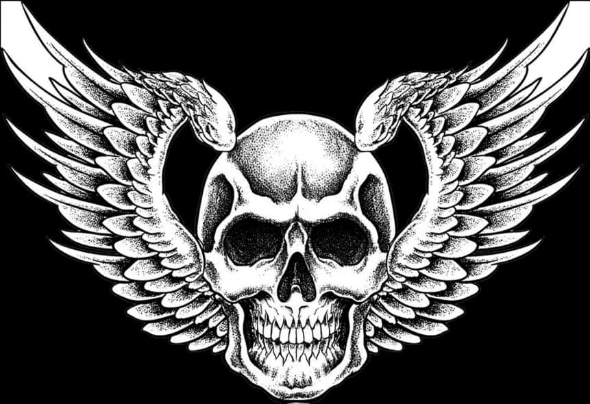 Winged Skull Graphic PNG Image