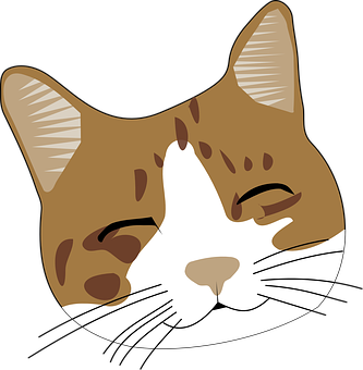 Winking Brown Cat Cartoon PNG Image