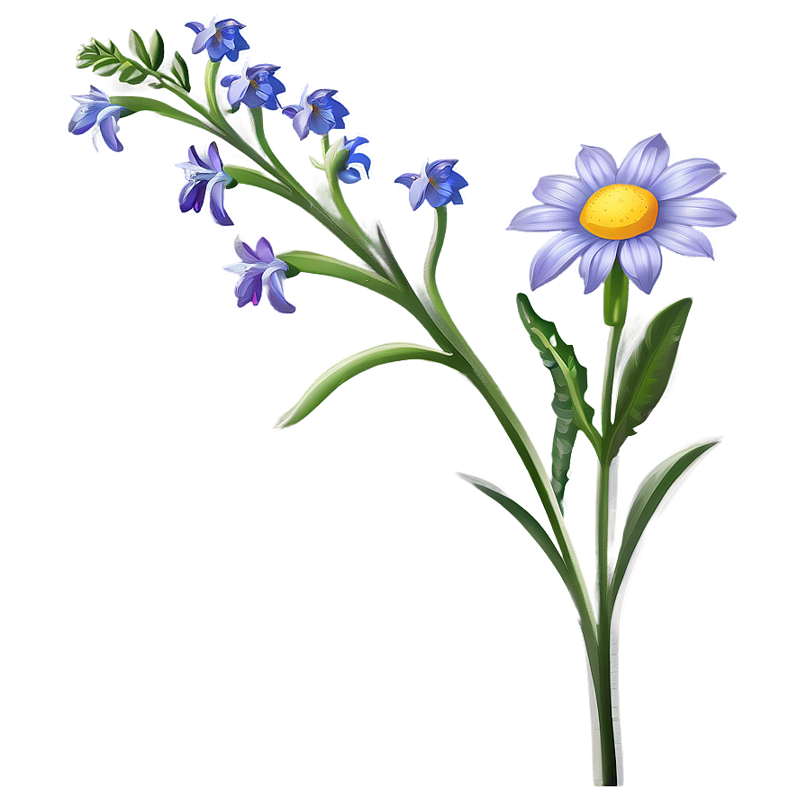 Winsome Wildflower Png Stt96 PNG Image