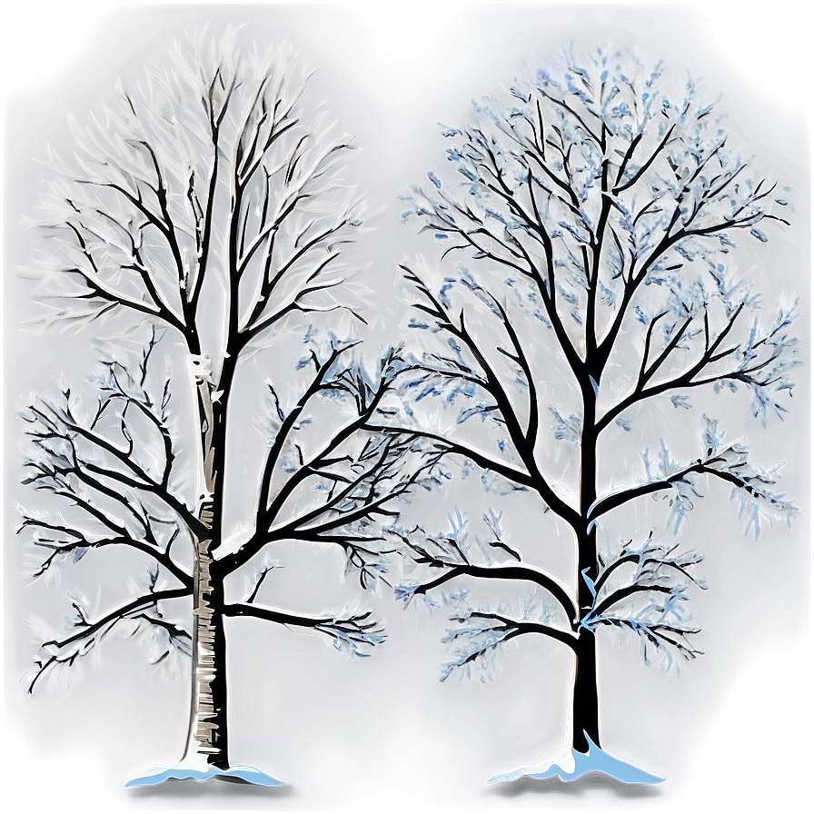 Winter Bare Trees Png Yqa51 PNG Image