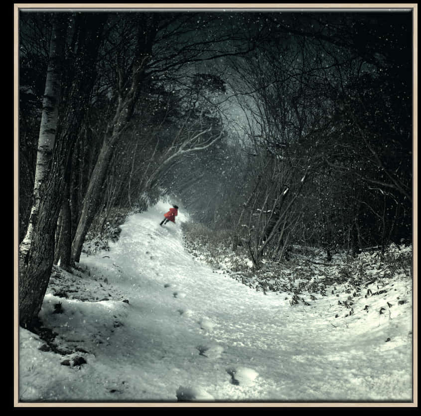 Winter_ Forest_ Path_with_ Red_ Jacket PNG Image