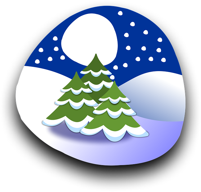 Winter Night Snowy Pine Trees PNG Image