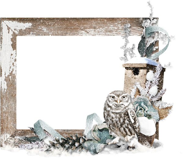 Winter Owl Frame Decoration PNG Image