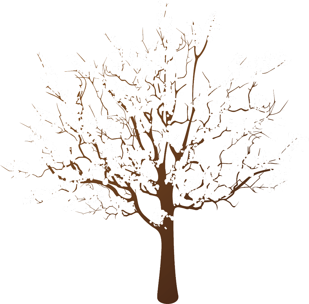 Winter Snow Covered Tree Illustration PNG Image