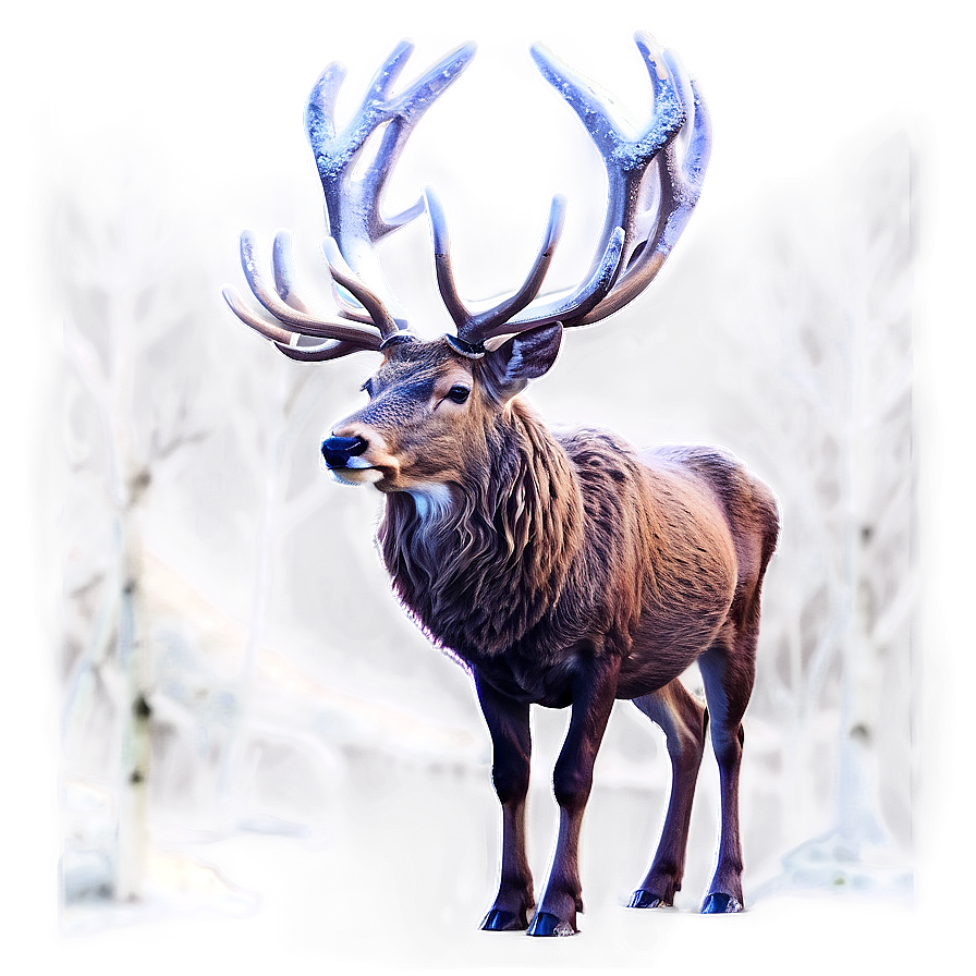 Winter Stag Scene Png Web99 PNG Image