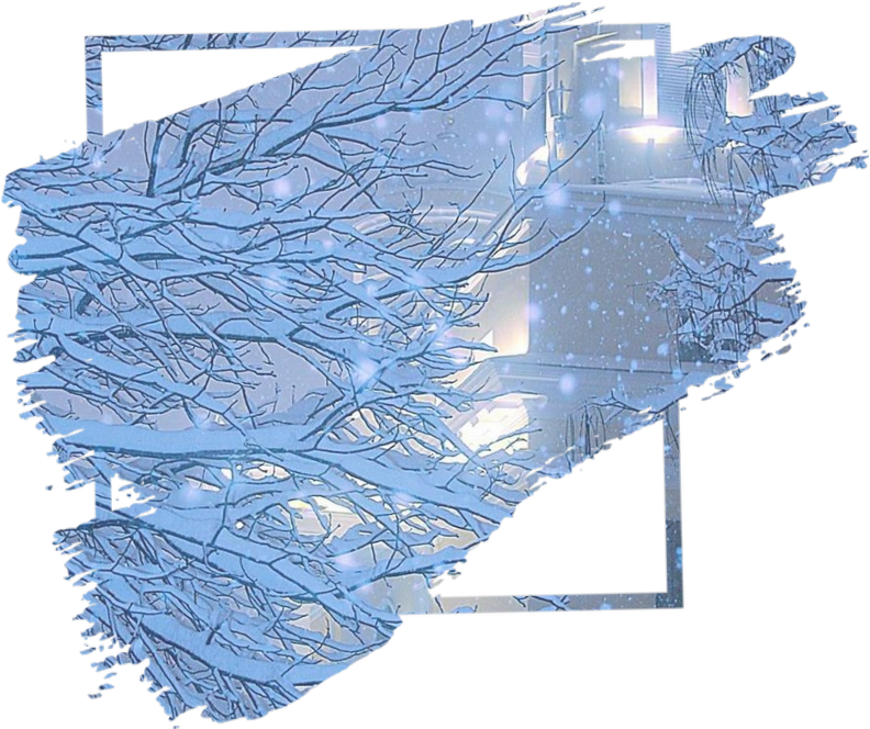 Winter Tree Photo Frame Overlay PNG Image