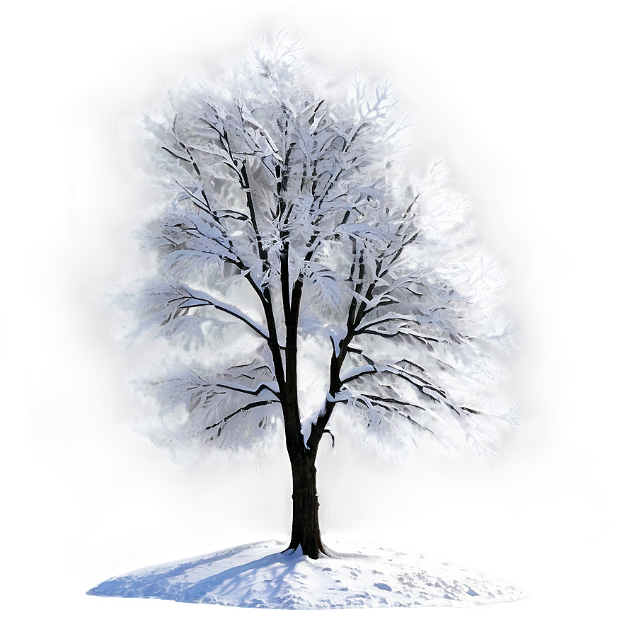 Winter Trees A PNG Image