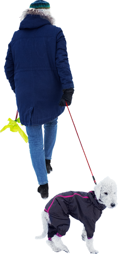 Winter Walk With Pet Dog PNG Image