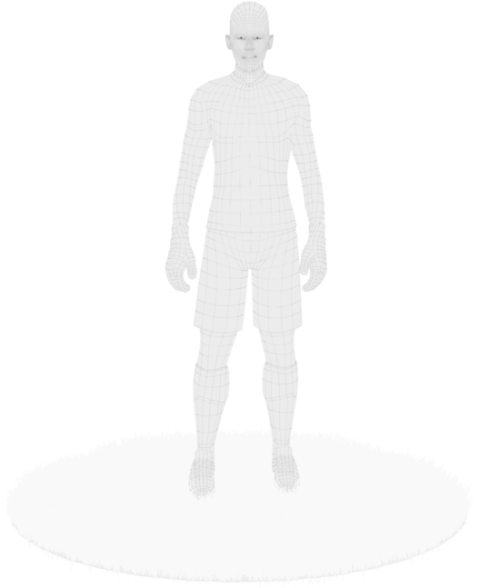 Wireframe Human Modelon Pedestal PNG Image