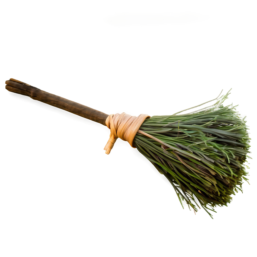 Witches Broom Png 06292024 PNG Image