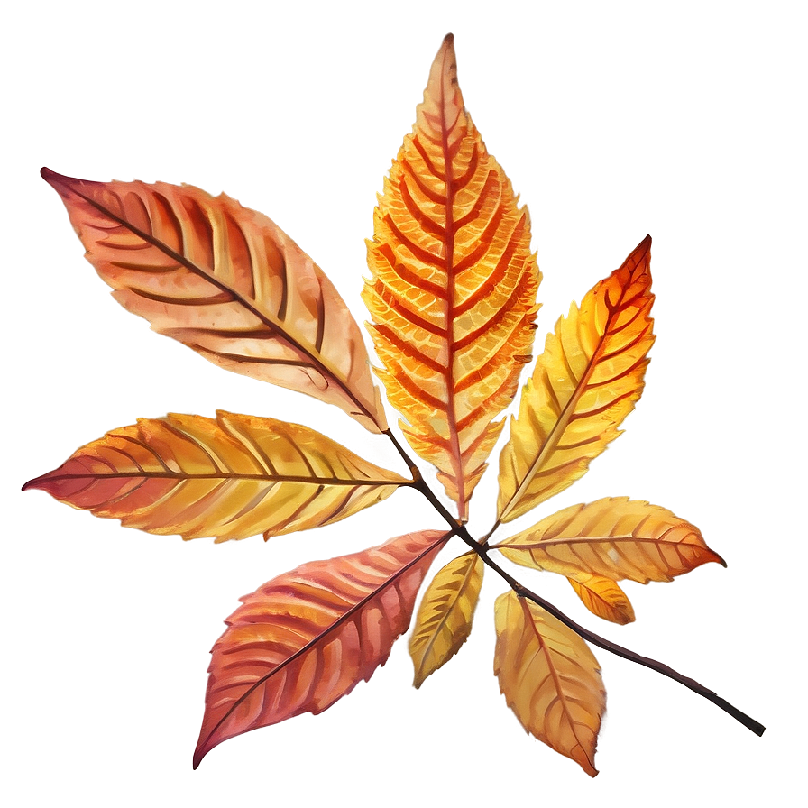 Withered Fall Leaf Png 05252024 PNG Image