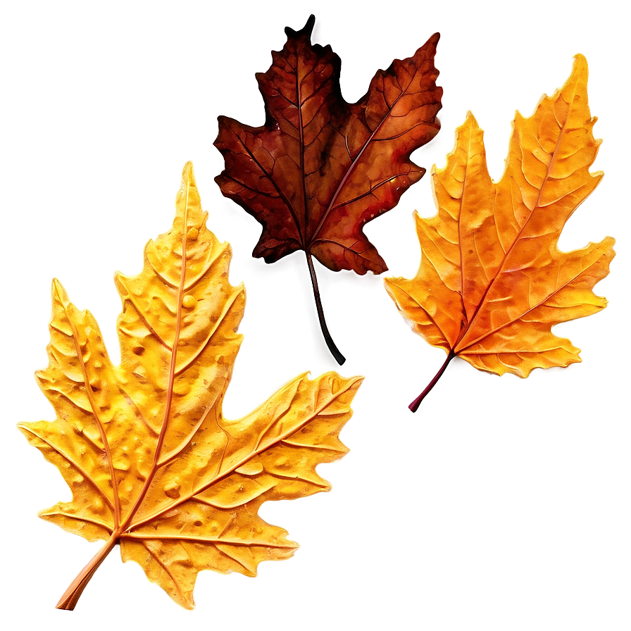 Withered Fall Leaf Png 85 PNG Image