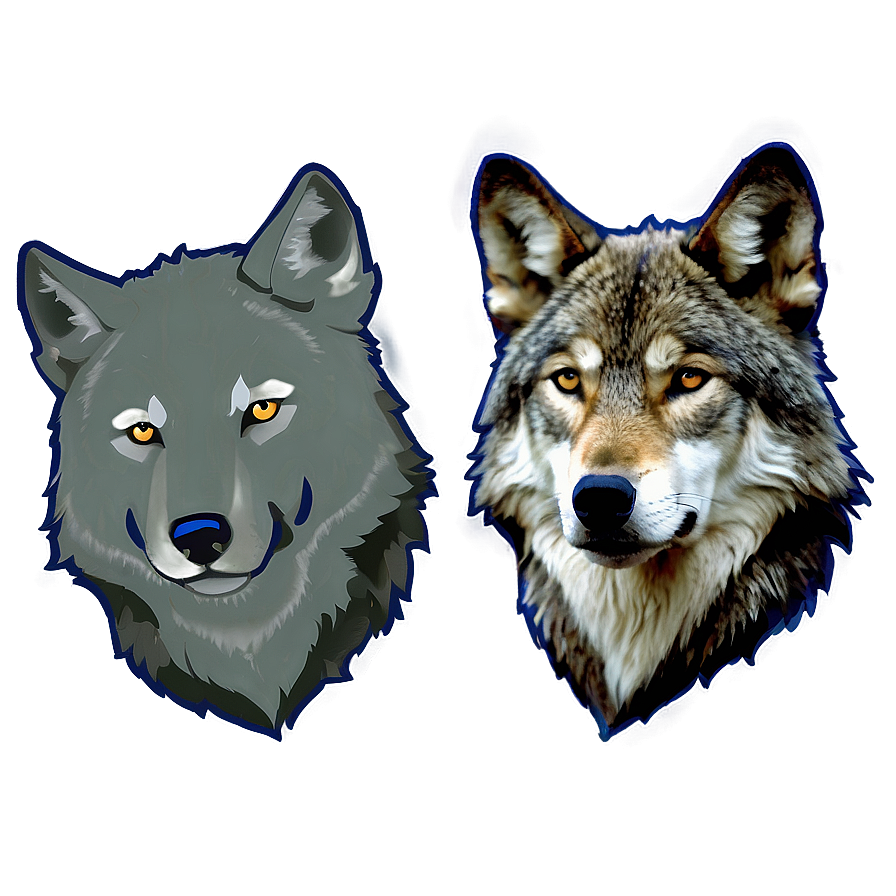 Wolf B PNG Image