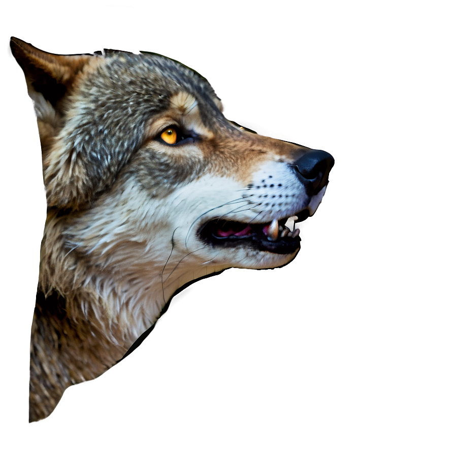 Wolf Eyes Profile Png Wia PNG Image